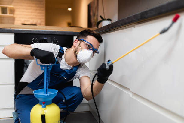 Reliable Greenville, NC Pest Control Solutions