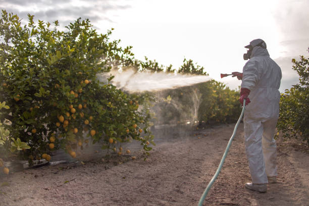 Pest Prevention Services in Greenville, NC